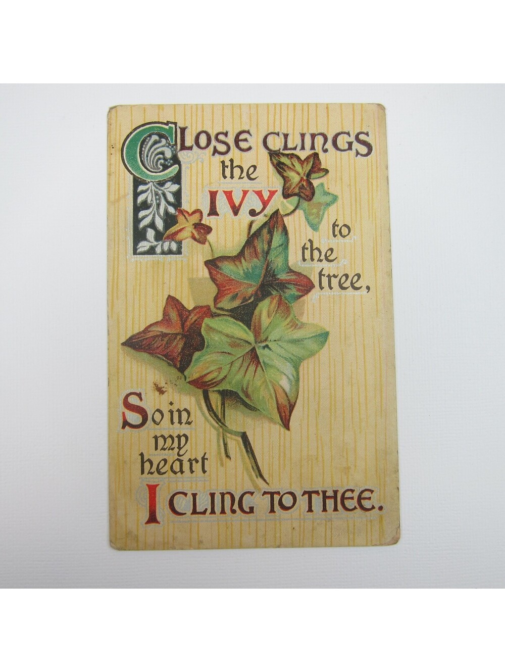 Postcard Green Ivy Vine Leaves So In My Heart I Cling To Thee Antique UNPOSTED